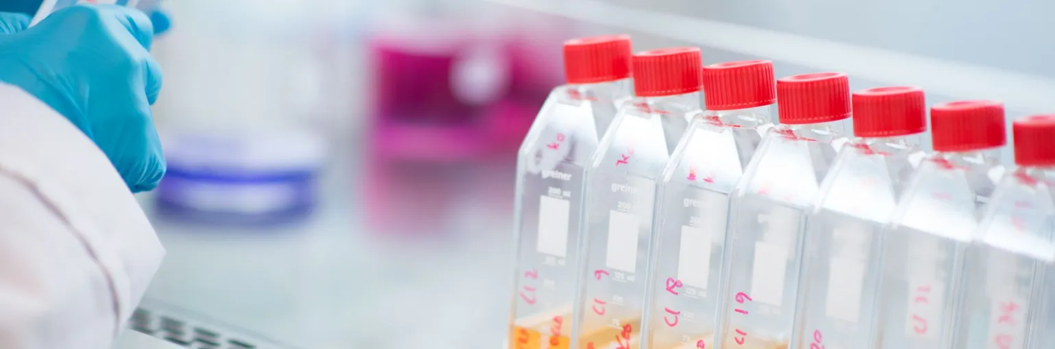 Bottles
